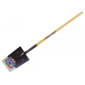 VANGHE BELLOTA MUSO QUADRO C/M.  5604/24