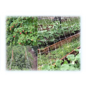 RETE SOSTENGREEN H150 RT.   ML1000