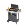 BARBECUE A GAS XPERT 200 LS + ROCKY