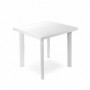 Tavoli resina fiocco bianchi 80x75