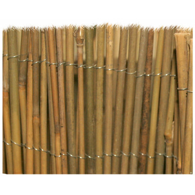 Arelle brixo mister bambu 200x300