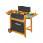 Barbecue Campingaz dual gas adelaide 3 woody