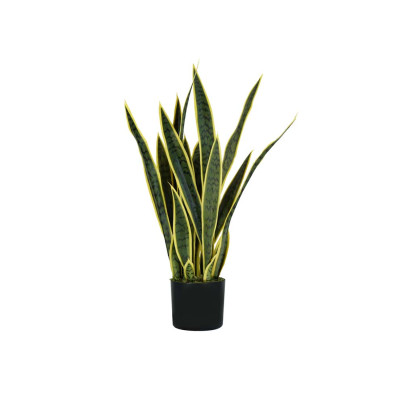 PIANTA SANSEVIERIA                     H. 75 cm 21 FOGLIE