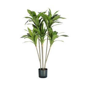 PIANTA DRACAENA               H. 130 cm 88 FOGLIE