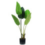 PIANTA STRELITZIA              H. 100 cm 5 FOGLIE